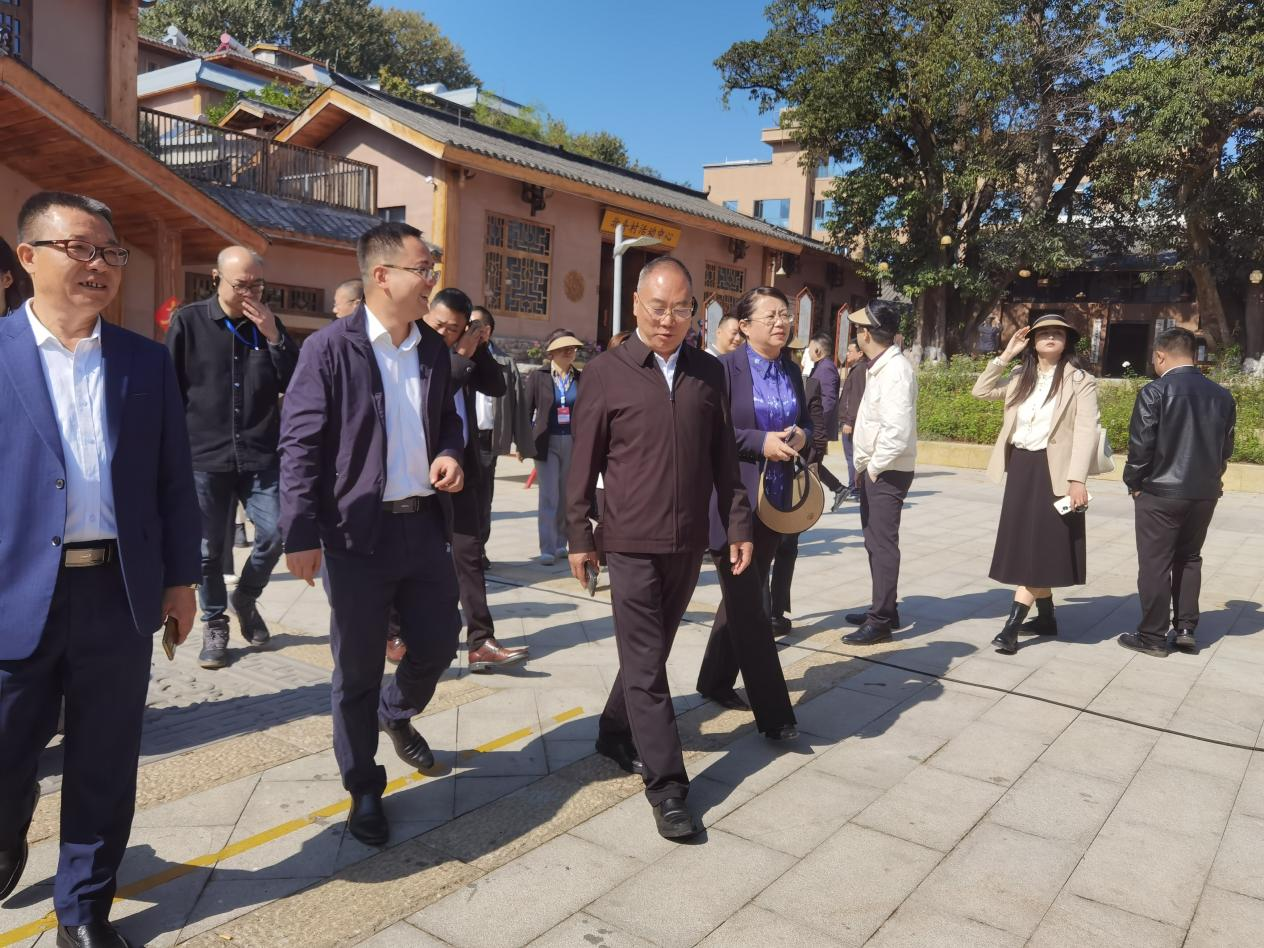 全省文化旅游融合示范項目工作總結交流會代表團考察學習大石板項目(圖7) 全省文化旅游融合示范項目工作總結交流會代表團考察學習大石板項目(圖7)