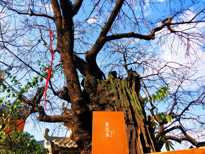 大石板古村:保護利用讓歷史文化“活”起來 ——全省城鄉建設歷史文化保護利用工作現場會在西昌大石板古村召開(圖3) 大石板古村:保護利用讓歷史文化“活”起來 ——全省城鄉建設歷史文化保護利用工作現場會在西昌大石板古村召開(圖3)