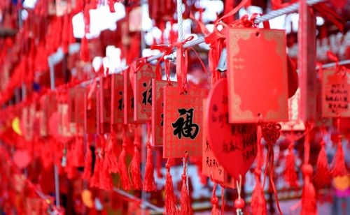 喜氣洋洋鬧新春 豐富活動助你迎新年(圖4) 喜氣洋洋鬧新春 豐富活動助你迎新年(圖4)