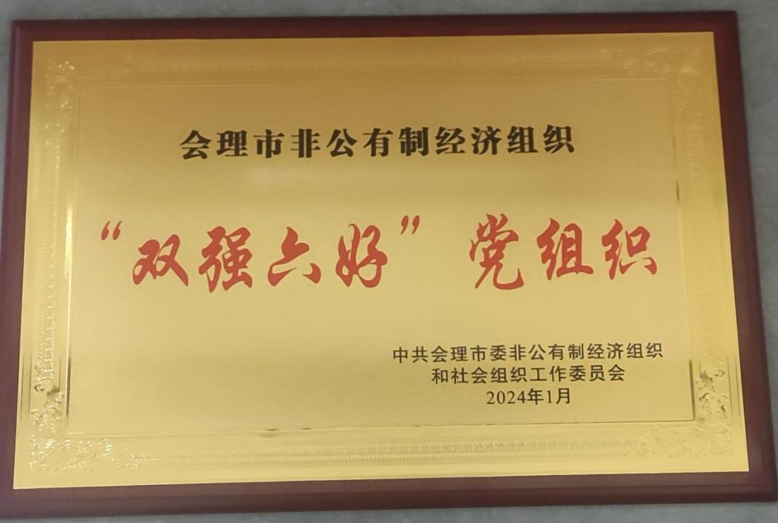 喜訊！礦業總公司財通公司黨支部榮獲會理市“雙強六好”黨組織稱號