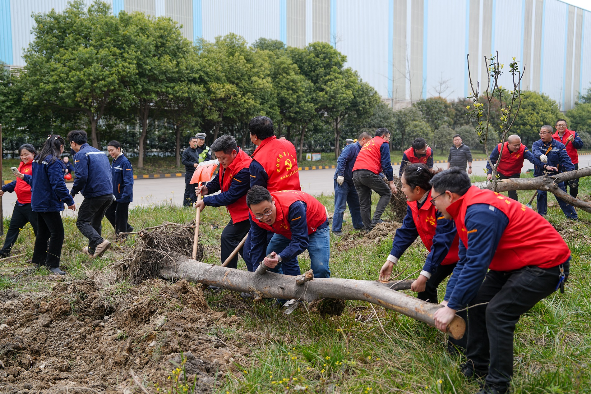 打造綠色川威 共建美好家園——釩鈦科技組織開展植樹節系列活動(圖3)
