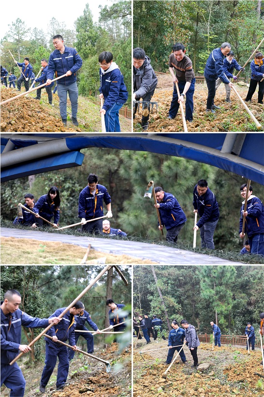 打造綠色川威 共建美好家園——釩鈦科技組織開展植樹節系列活動(圖5)