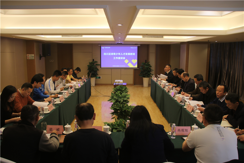 企業(yè)搭臺 專家唱戲 大咖齊聚 ——川威法蘭克福足校研討會召開(圖1)
